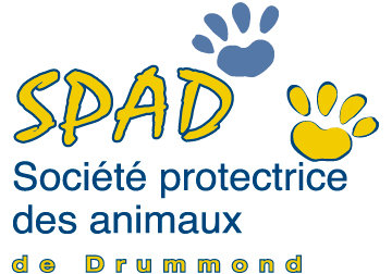 Logo SPAD