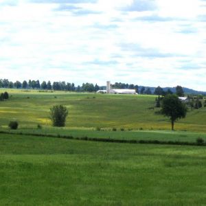 Paysage de Saint-Félix-de-Kingsey