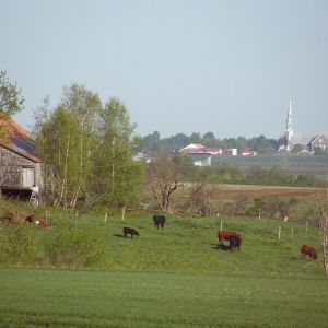 Paysage de Saint-Félix-de-Kingsey