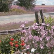 Saint-Félix en fleurs