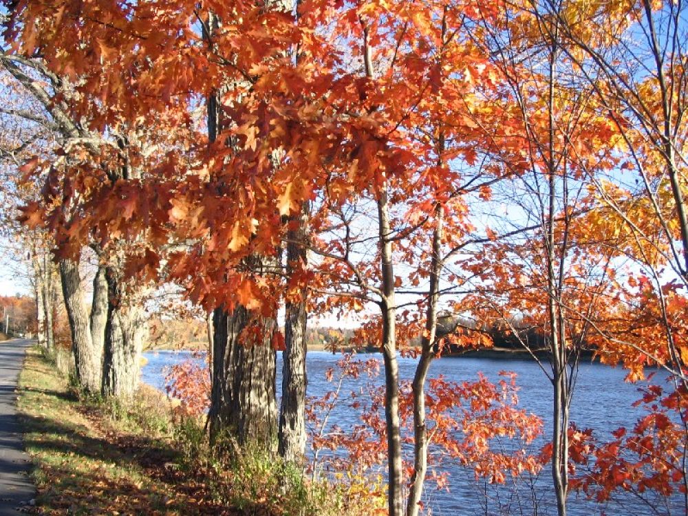 Rivière St-François à St-Félix