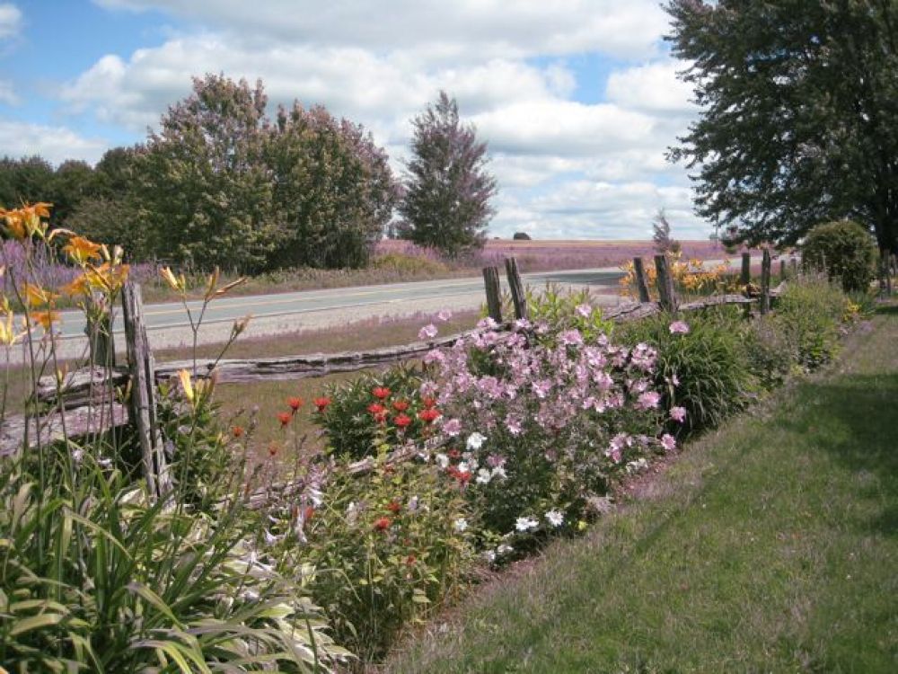 Saint-Félix en fleurs