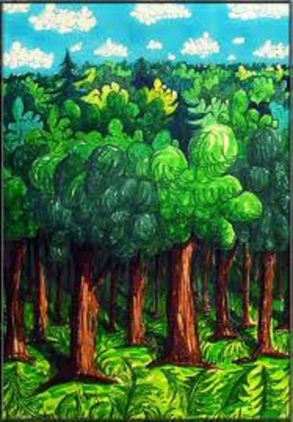 Forêt